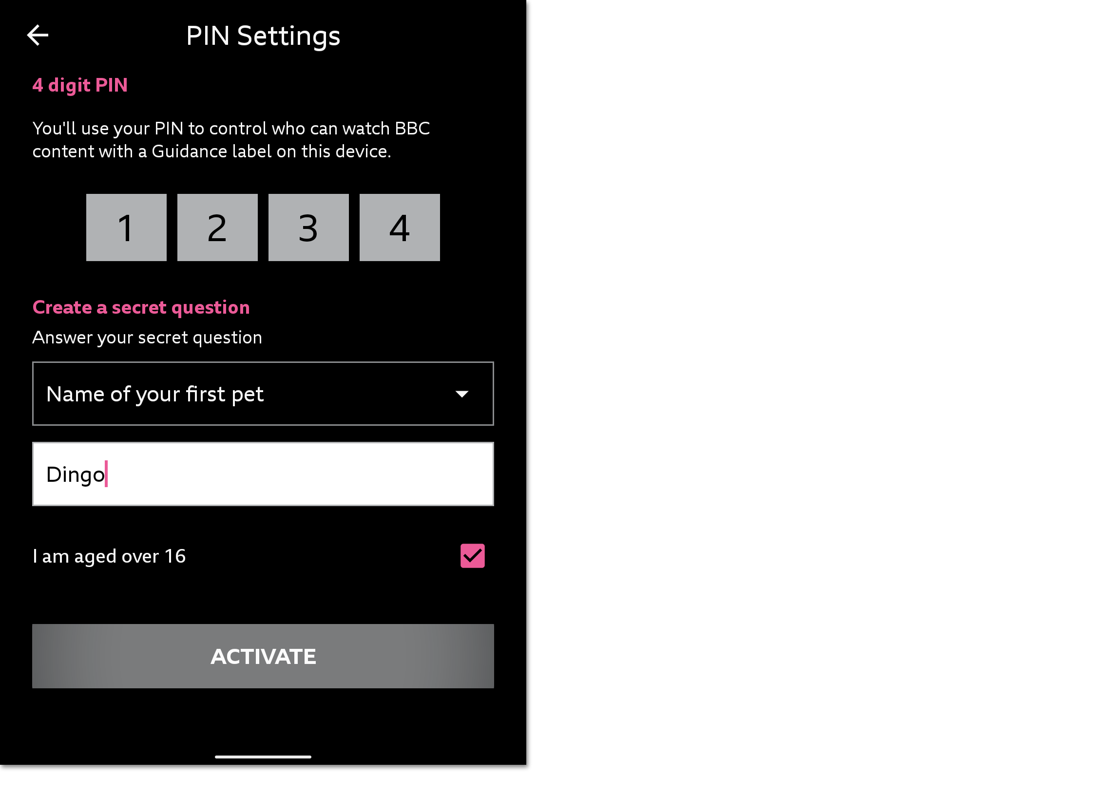 Image of the parental guidance settings. a PIN has been chosen and a secret answer has been written. The Activate button is being selected